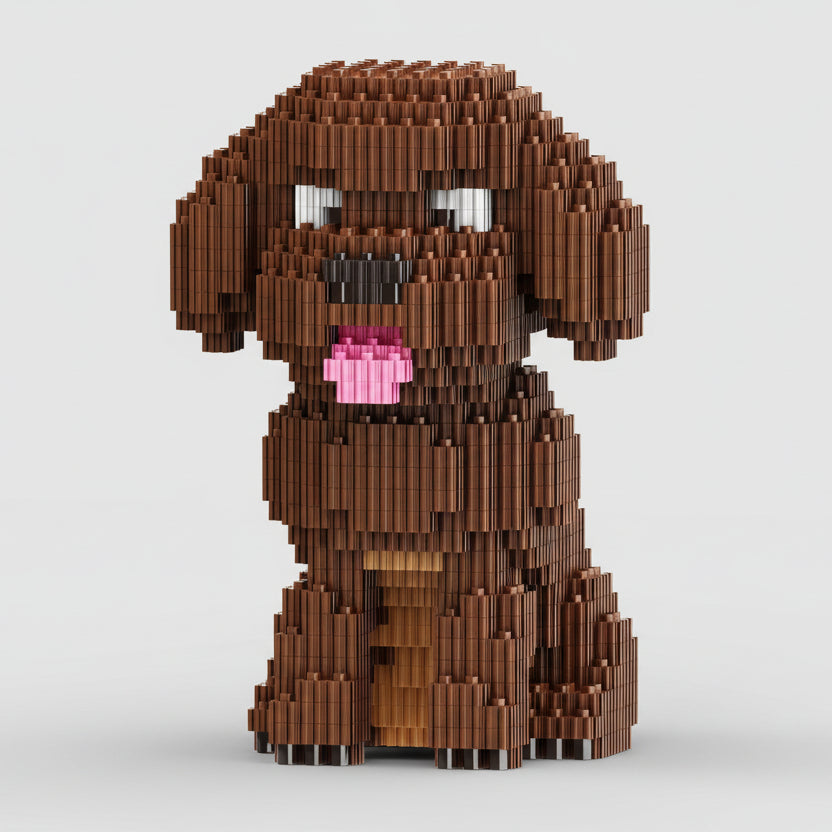 Teddy | Bouwpakket