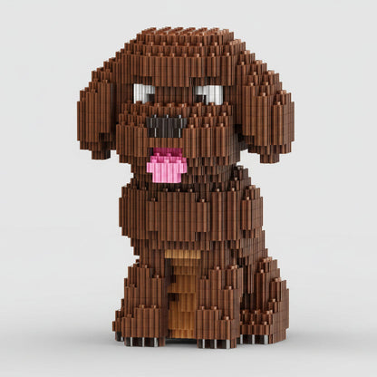 Teddy | Bouwpakket