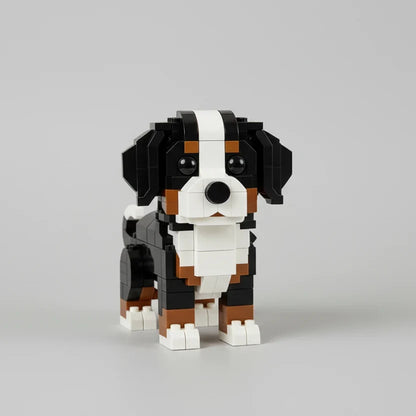 Berner sennenhond | Bouwpakket