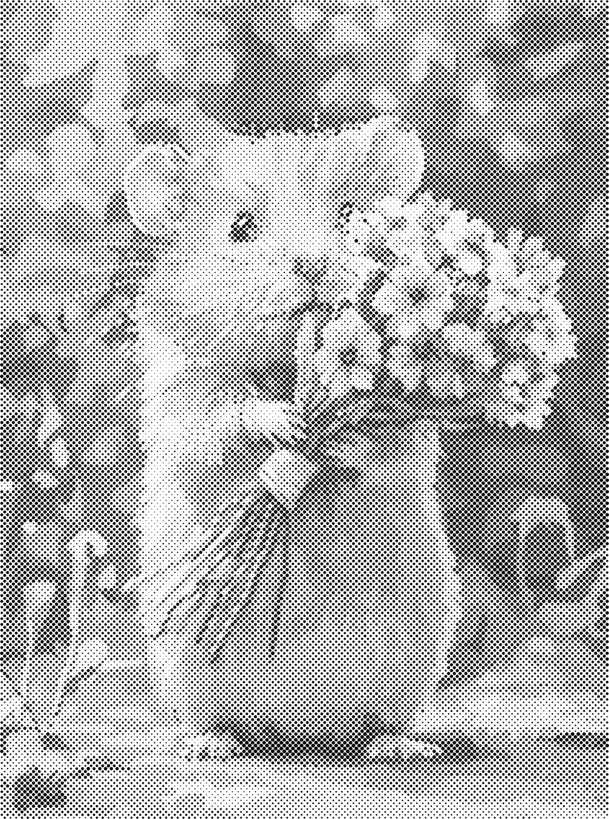 Hamster met bloemen | Dot Painting