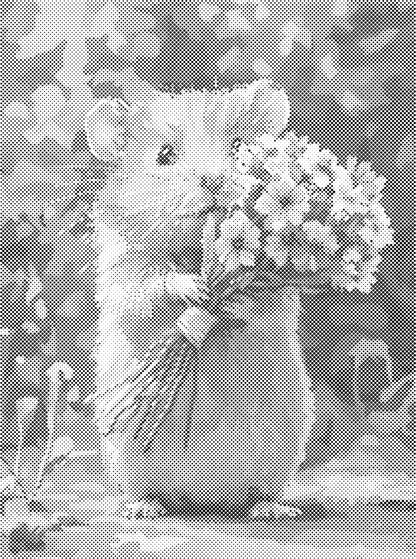 Hamster met bloemen | Dot Painting