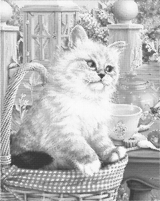 Schattig katje | Dot Painting