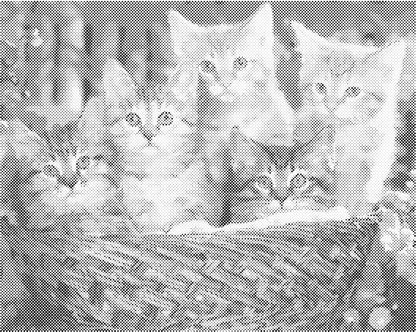 Katten in mand | Dot Painting