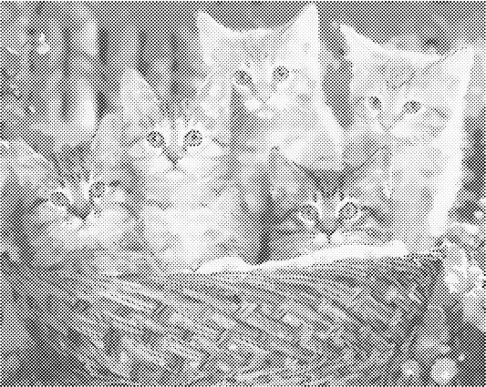 Katten in mand | Dot Painting