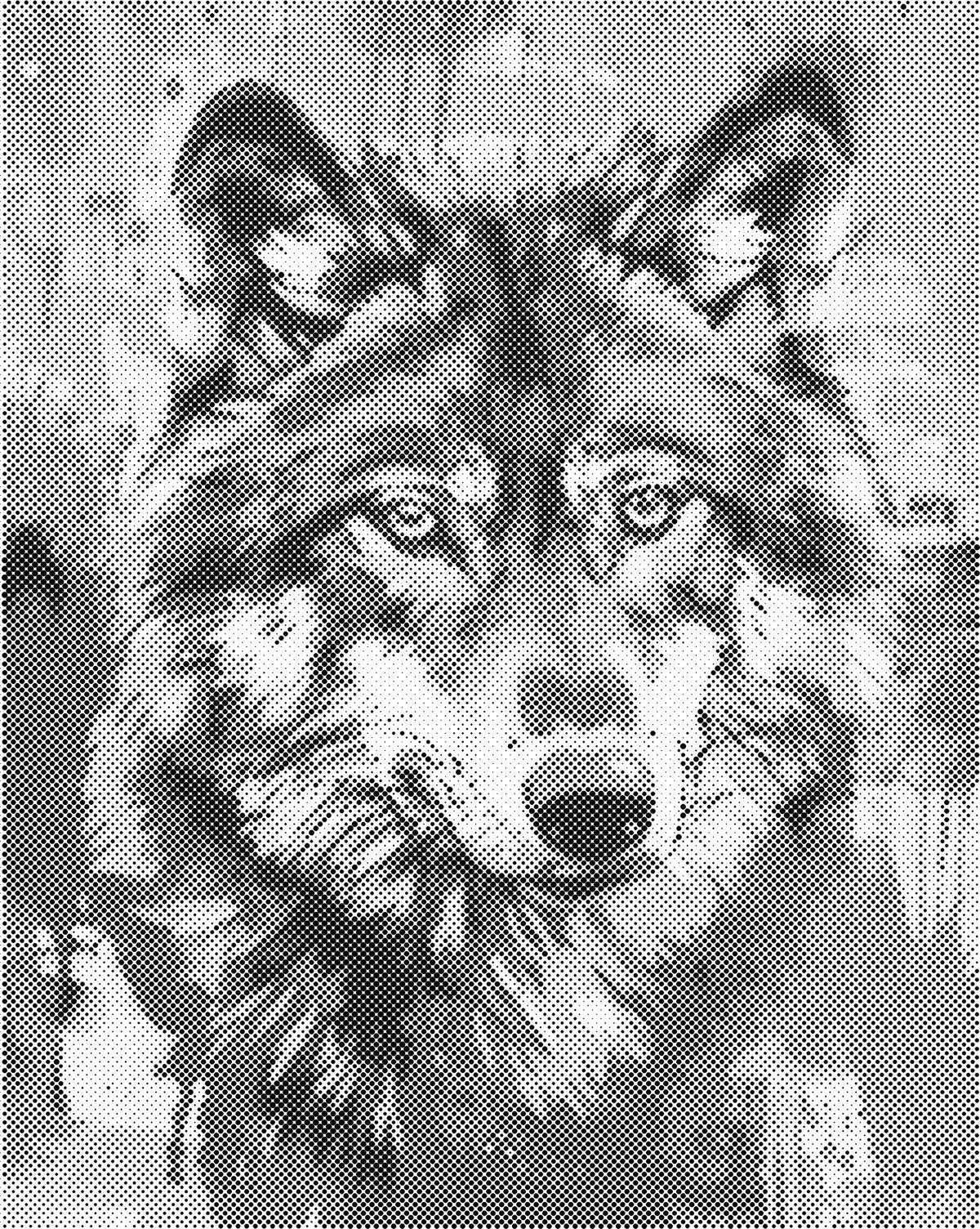 Wolf | Dot Painting
