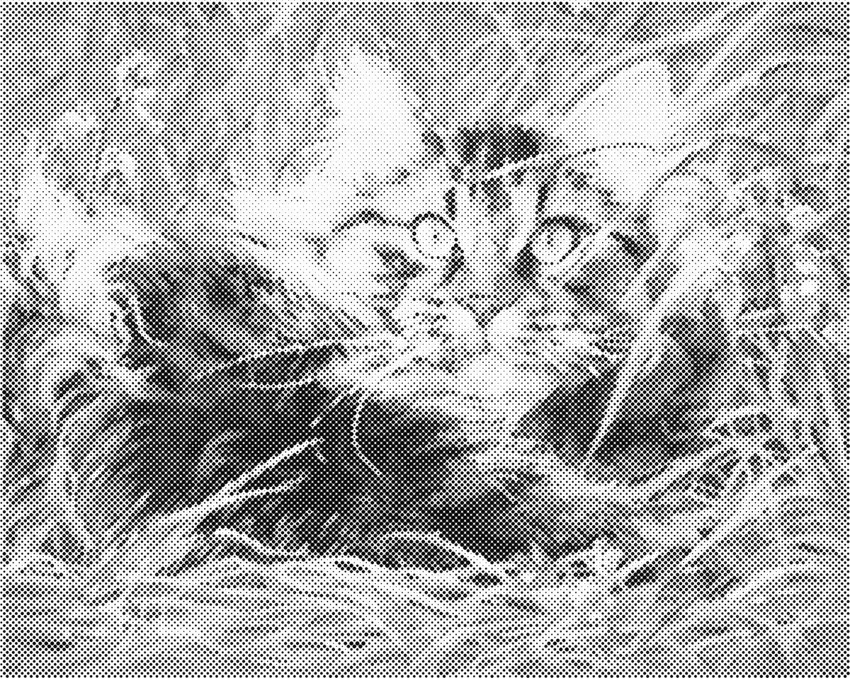 Kat in gras | Dot Painting