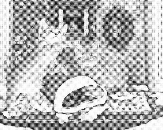 Katten voor de deur | Dot Painting