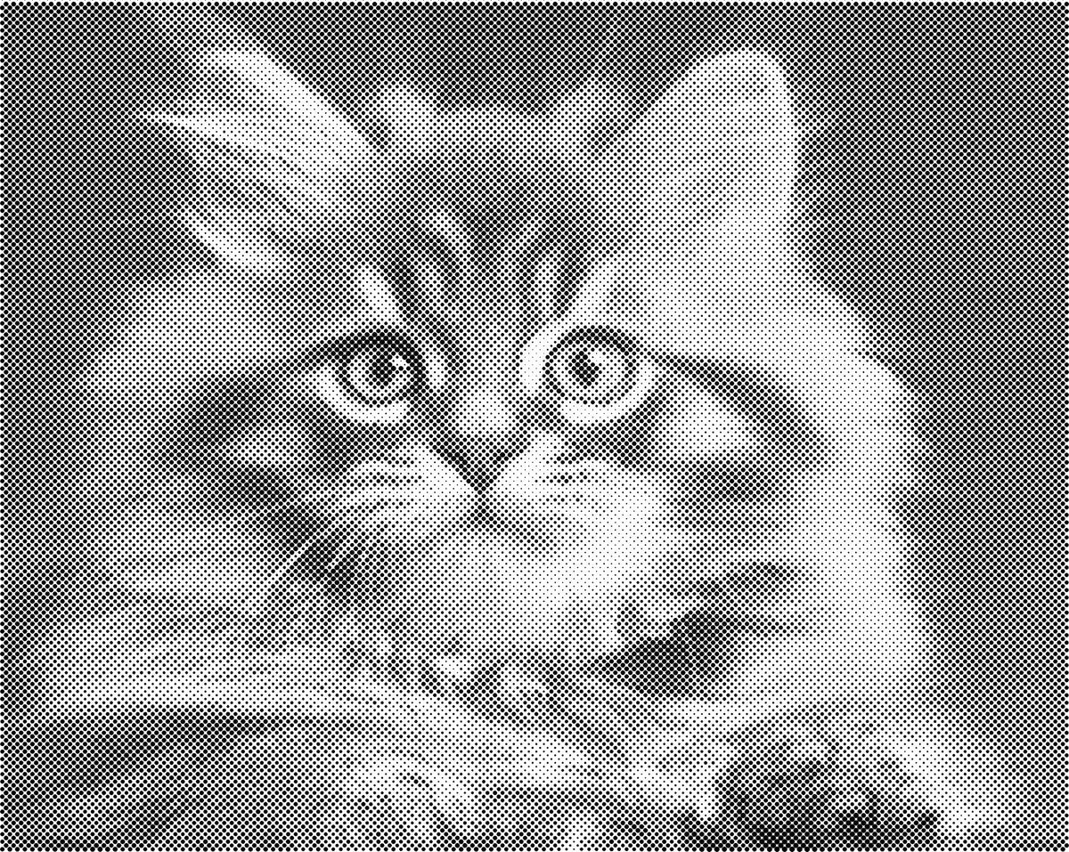 Geschrokken kat | Dot Painting