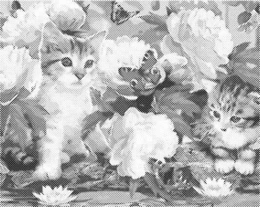 Katten vlinders | Dot Painting