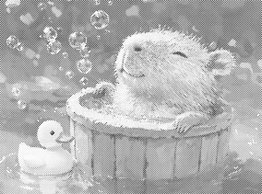 Diertje in bad | Dot Painting