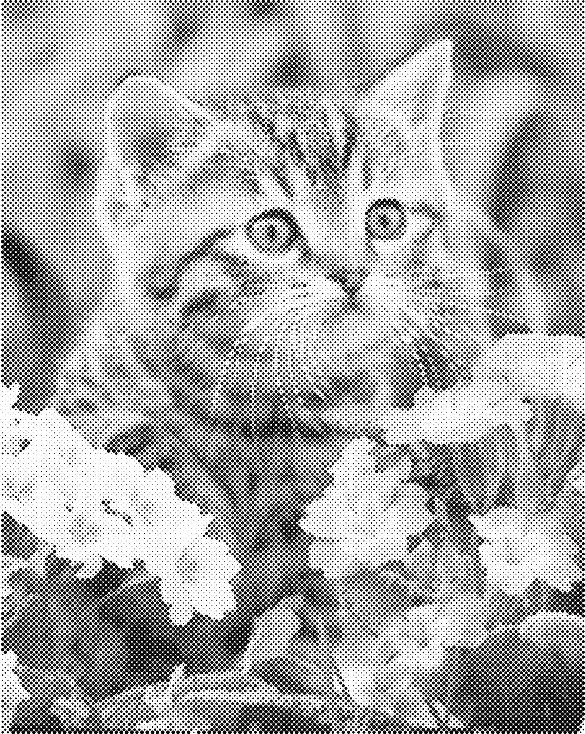 Prachtige kat | Dot Painting