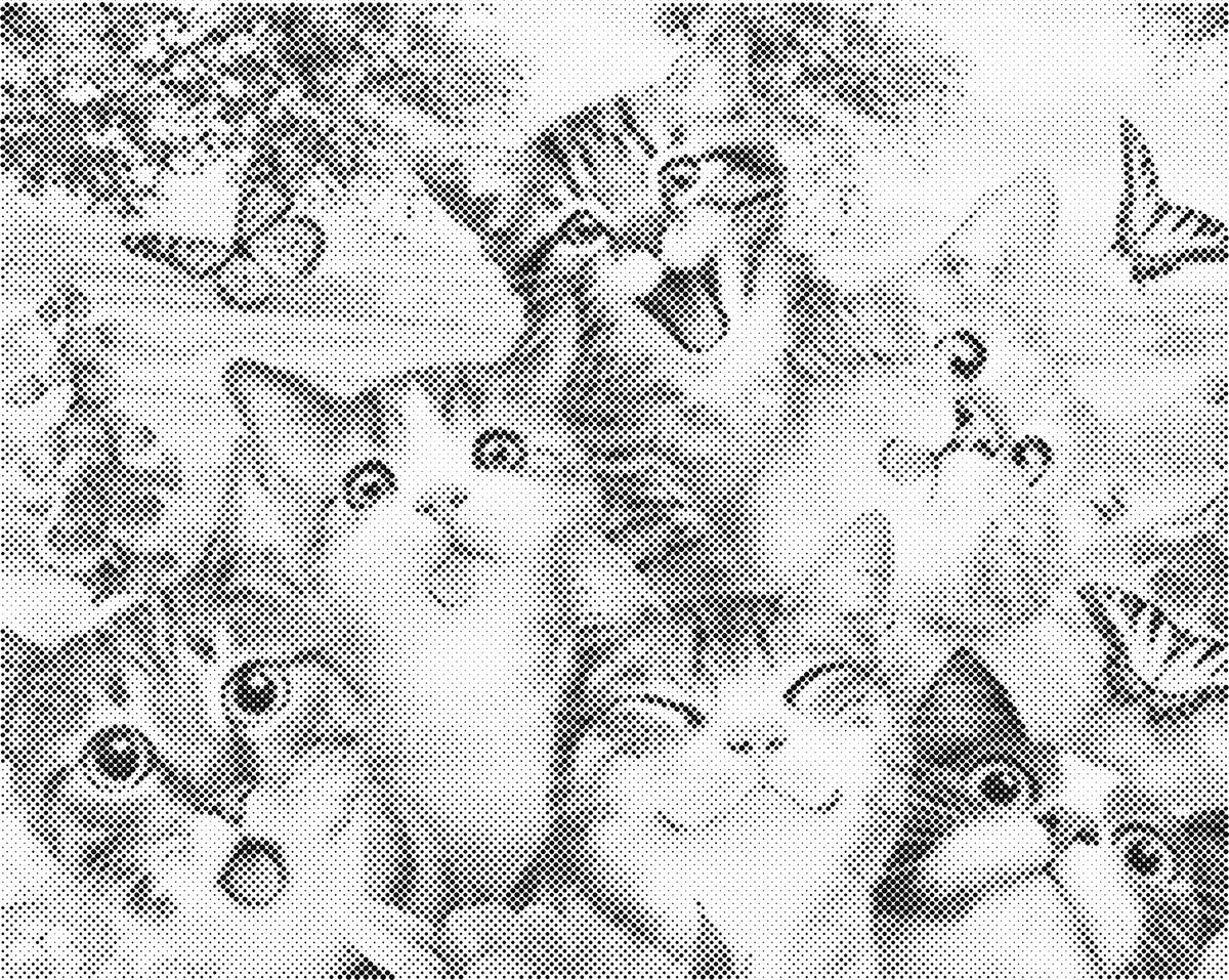 Katten familie | Dot Painting
