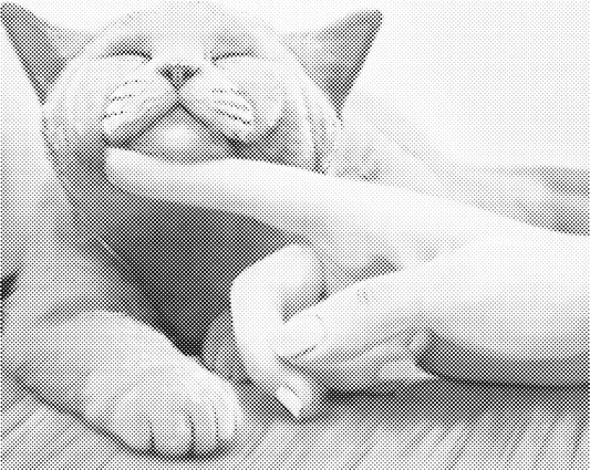 Lieve kat | Dot Painting