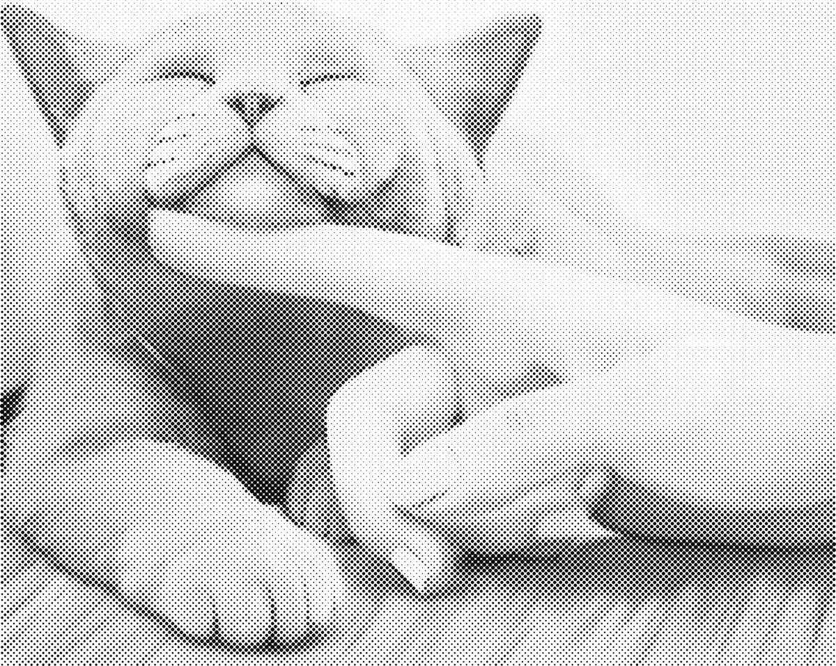 Lieve kat | Dot Painting