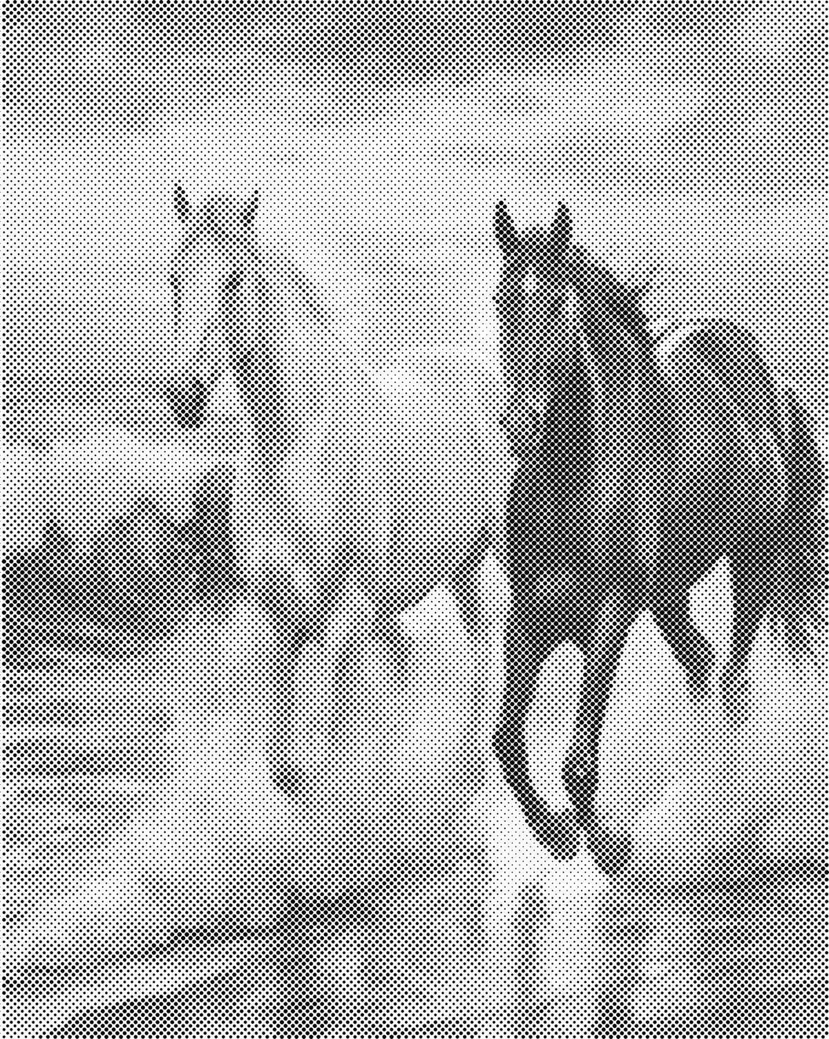 Paard op het strand | Dot Painting