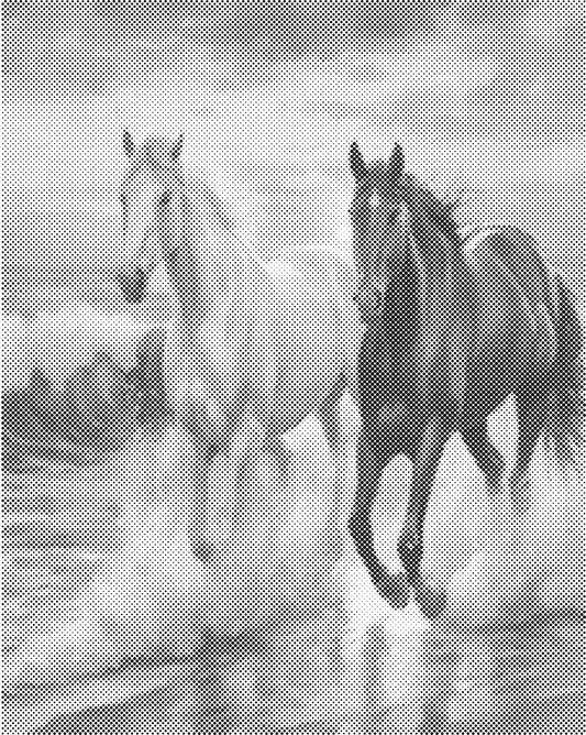 Paard op het strand | Dot Painting