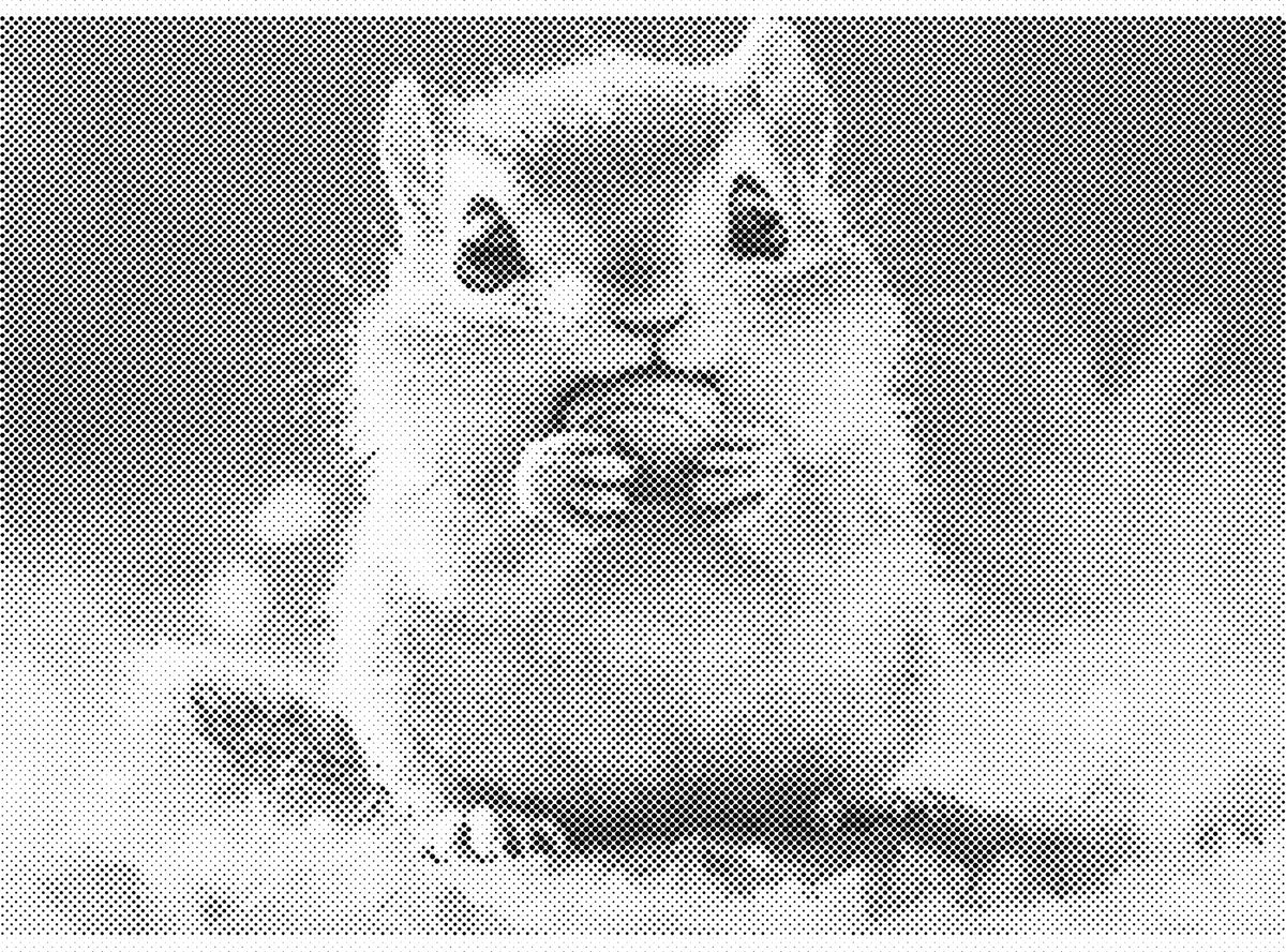Kleine eekhoorn | Dot Painting
