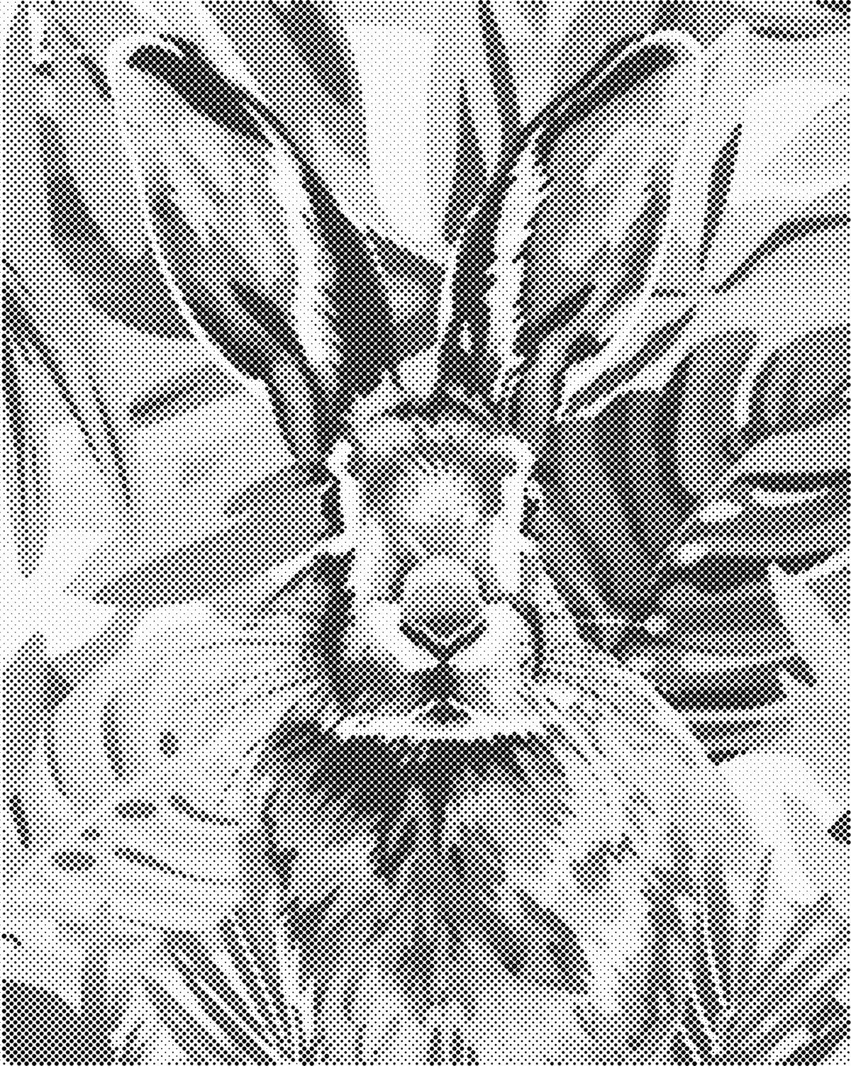 Konijn | Dot Painting