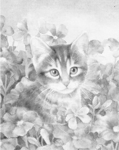 Kat tussen de bloemen | Dot Painting