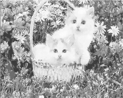 Katten in mand | Dot Painting