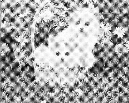 Katten in mand | Dot Painting