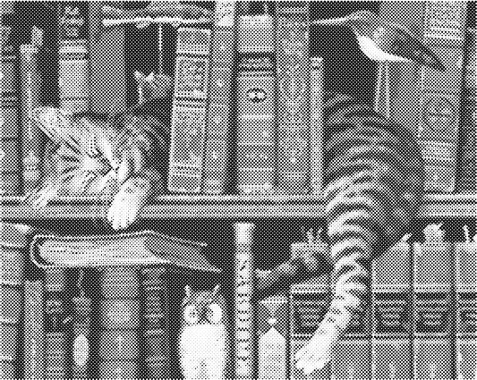 Kat in boekenkast | Dot Painting