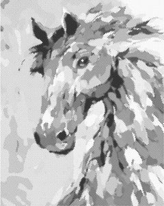 40 x 50 cm