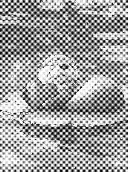 Bever | Dot Painting