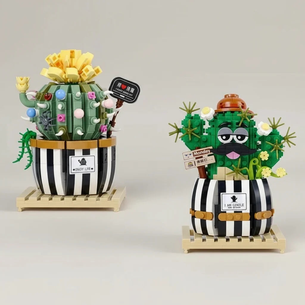 Grappige cactus | Bouwpakket