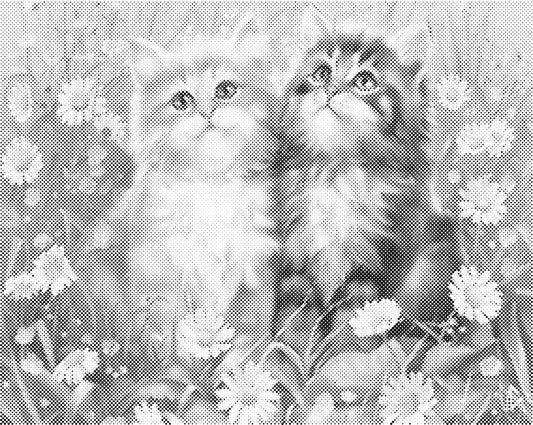 Lieve katten | Dot Painting