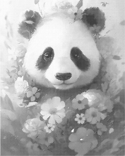 Panda | Dot Painting
