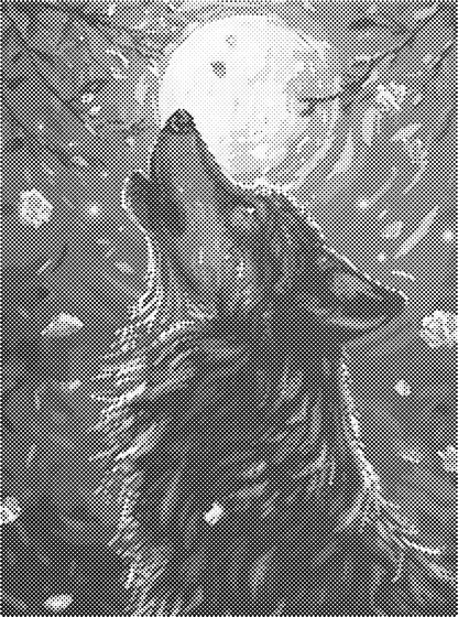 Wolf | Dot Painting