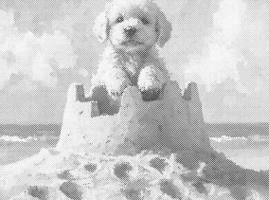Hondje in kasteel | Dot Painting