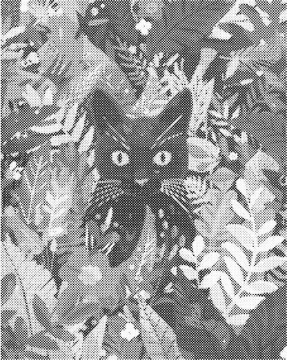 Zwart katje | Dot Painting