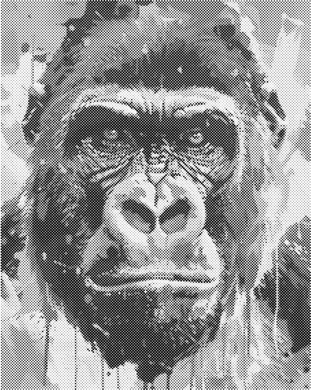 Gorilla | Dot Painting