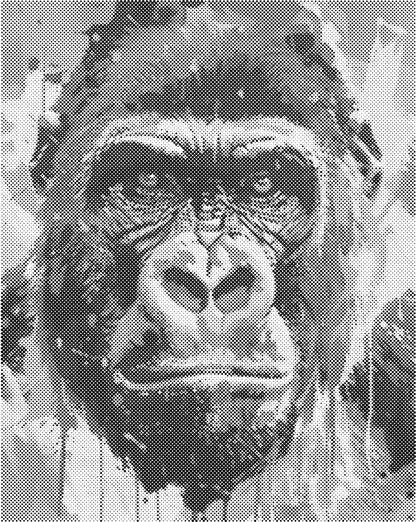 Gorilla | Dot Painting