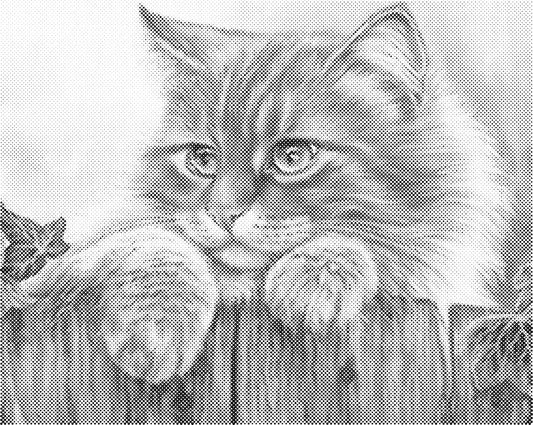 Kat over schutting | Dot Painting