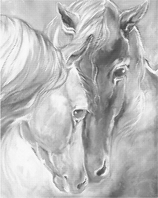 Paarden | Dot Painting