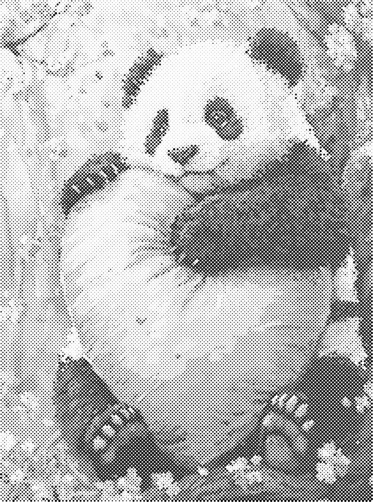 Panda met kussen | Dot Painting
