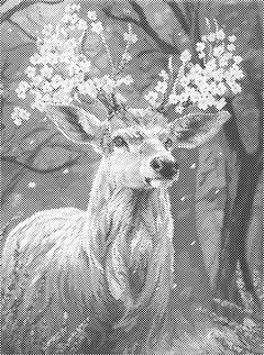 30 x 40 cm