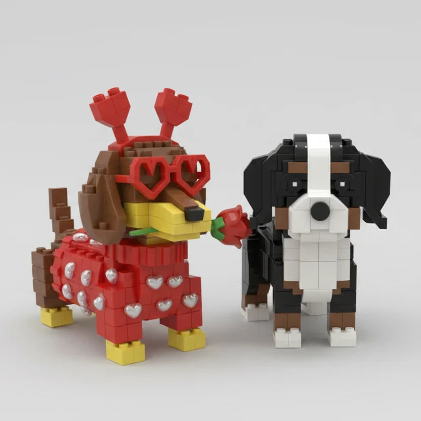 Berner sennenhond | Bouwpakket