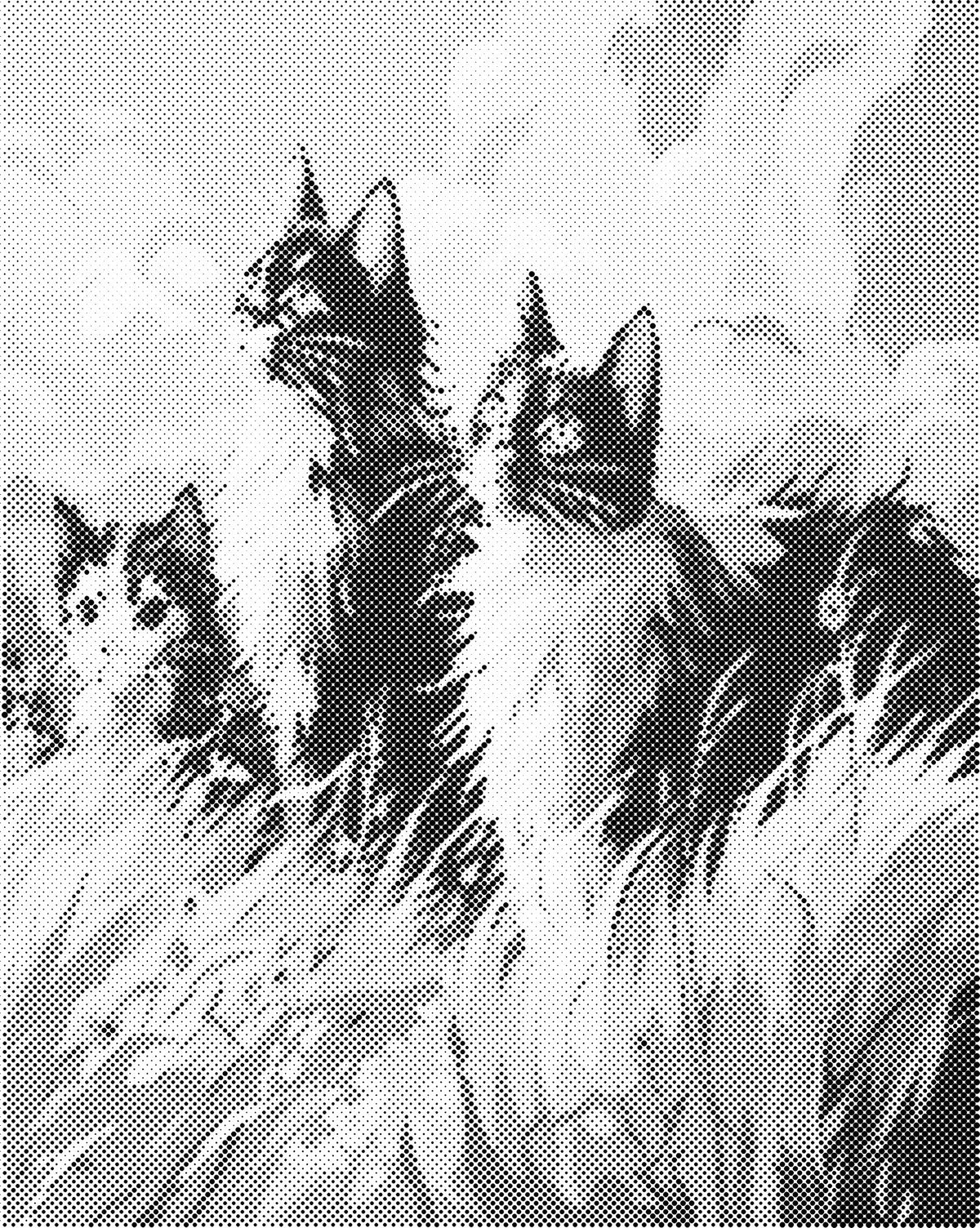 Drie katten | Dot Painting