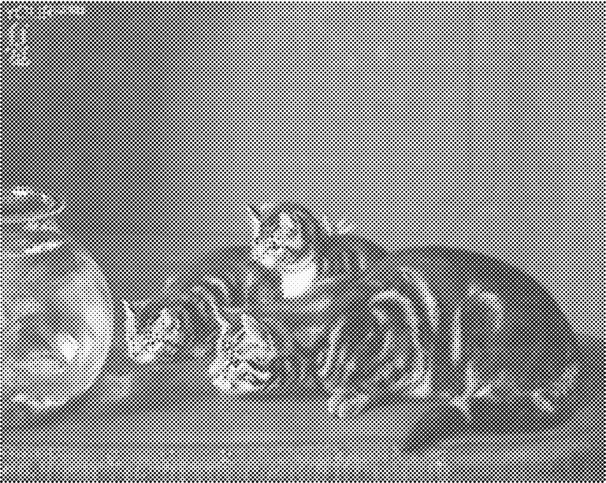 Kat met kittens | Dot Painting
