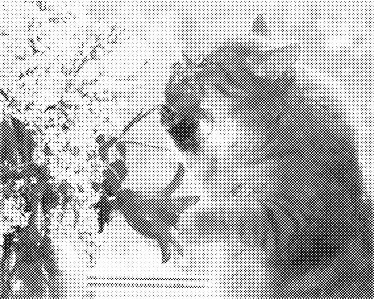 Kat bij boeket | Dot Painting