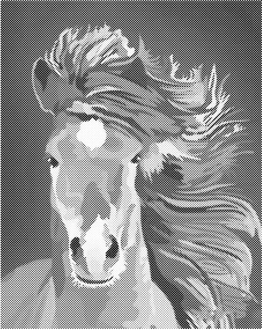 Mooi paard | Dot Painting