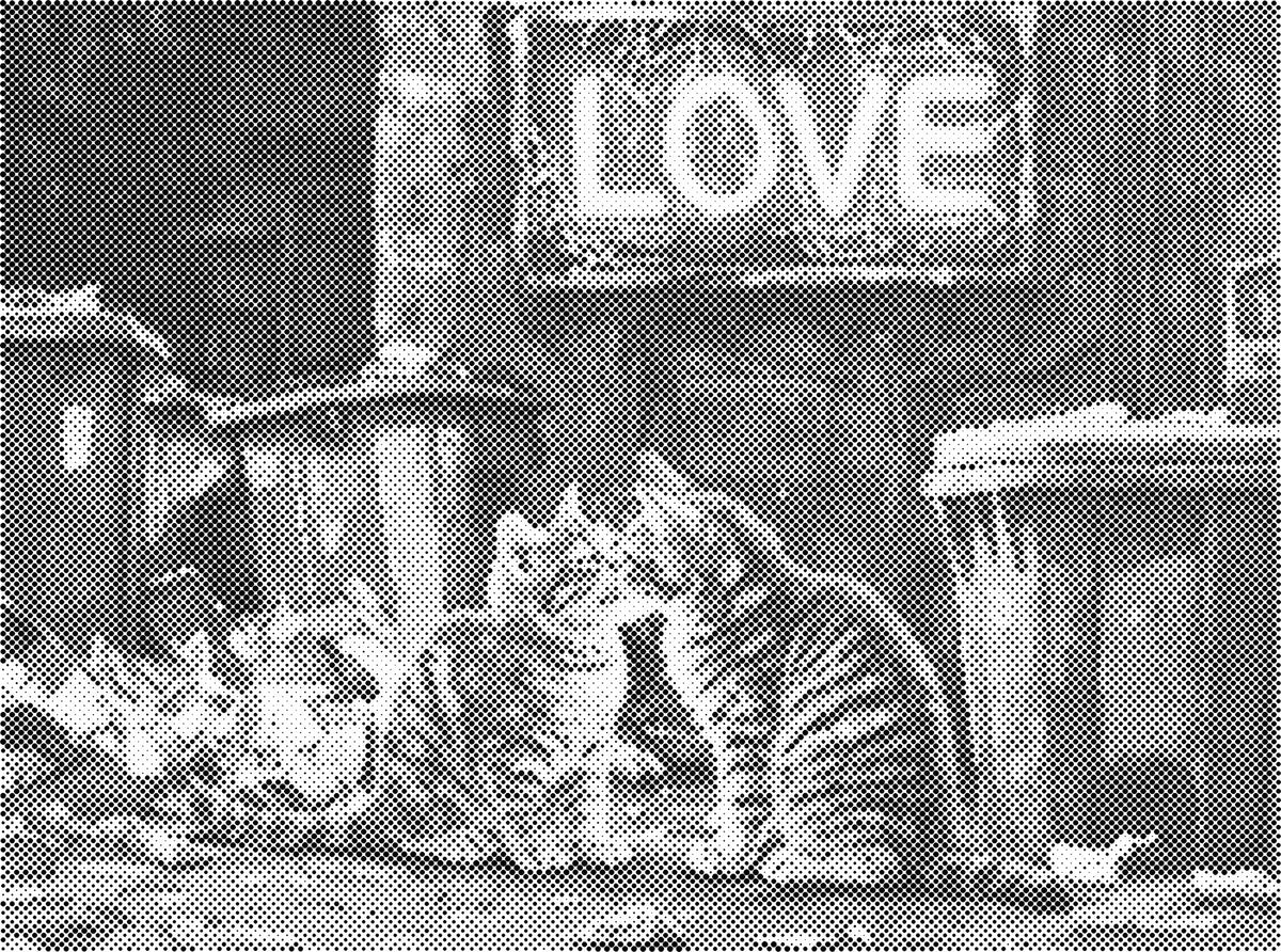 Verliefde katten | Dot Painting