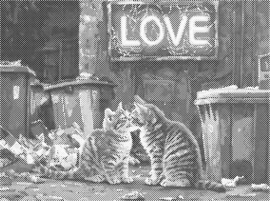 Verliefde katten | Dot Painting