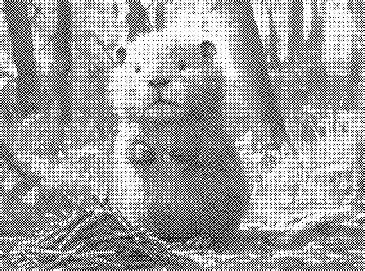 Schattig diertje | Dot Painting