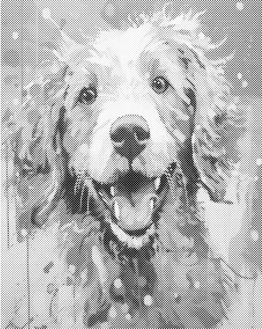 Vrolijke hond | Dot Painting