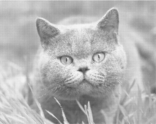 Grijze kat | Dot Painting